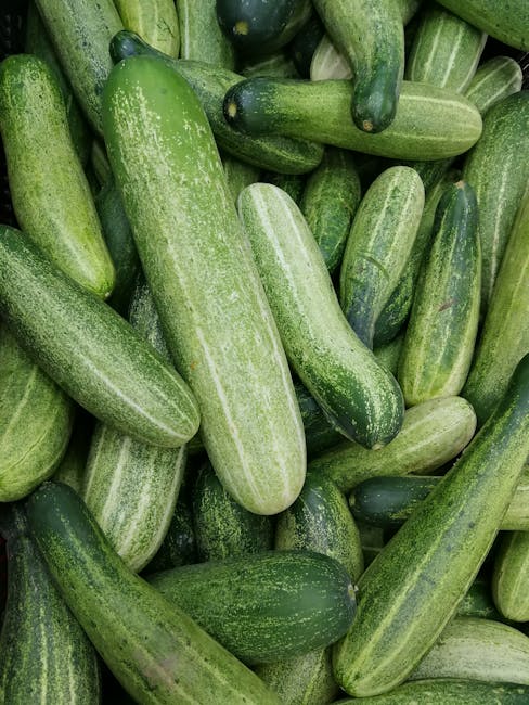 Hemmelighederne bag agurkeplanter afsløret